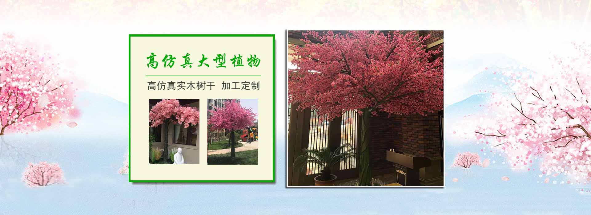 ֱ�����(d��ng)�Y�Ъ�(d��)�ص��b�W(w��ng)�Y(ji��)��(g��u)�o(w��)���ϬF(xi��n)��